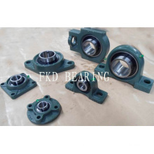 Pillow Block Bearing (UCP205 UCF206 UCFL207 UCT208 UCFC210)